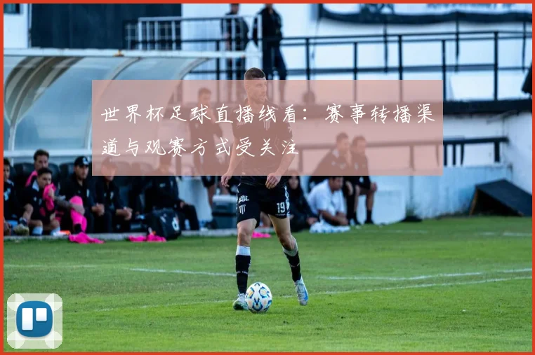 世界杯足球直播线看：赛事转播渠道与观赛方式受关注